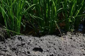 FUN88·乐天堂(中国游)官方网站