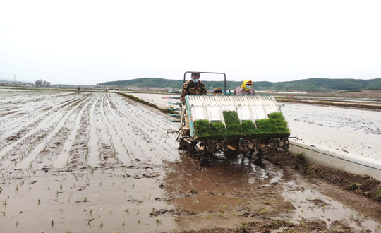 14 FUN88农业水稻插秧现场_副本.png